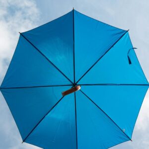 blue umbrella under white sky